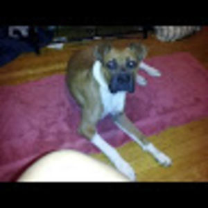 Meet your Posher, Shauna